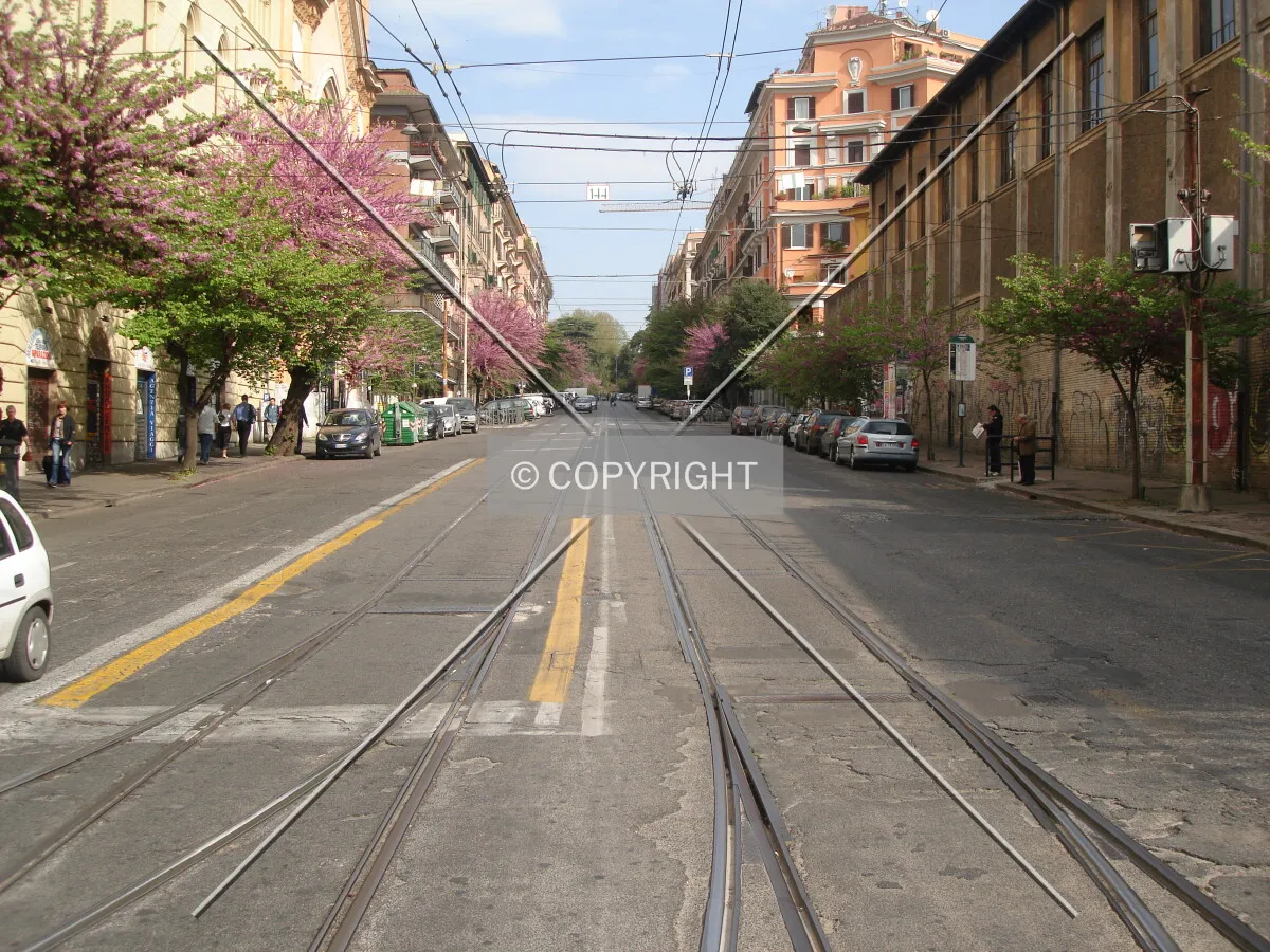 Photo 362-017-006