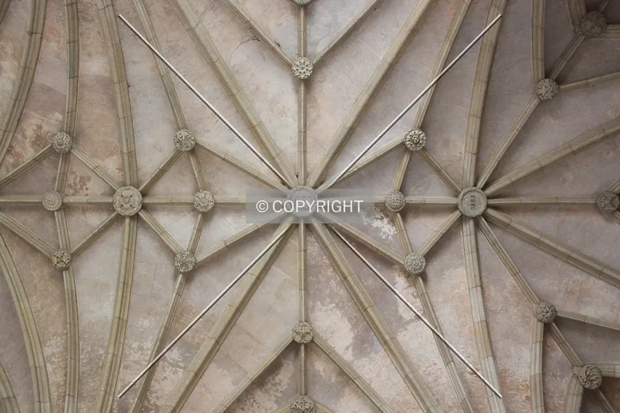 Photo 362-718-904