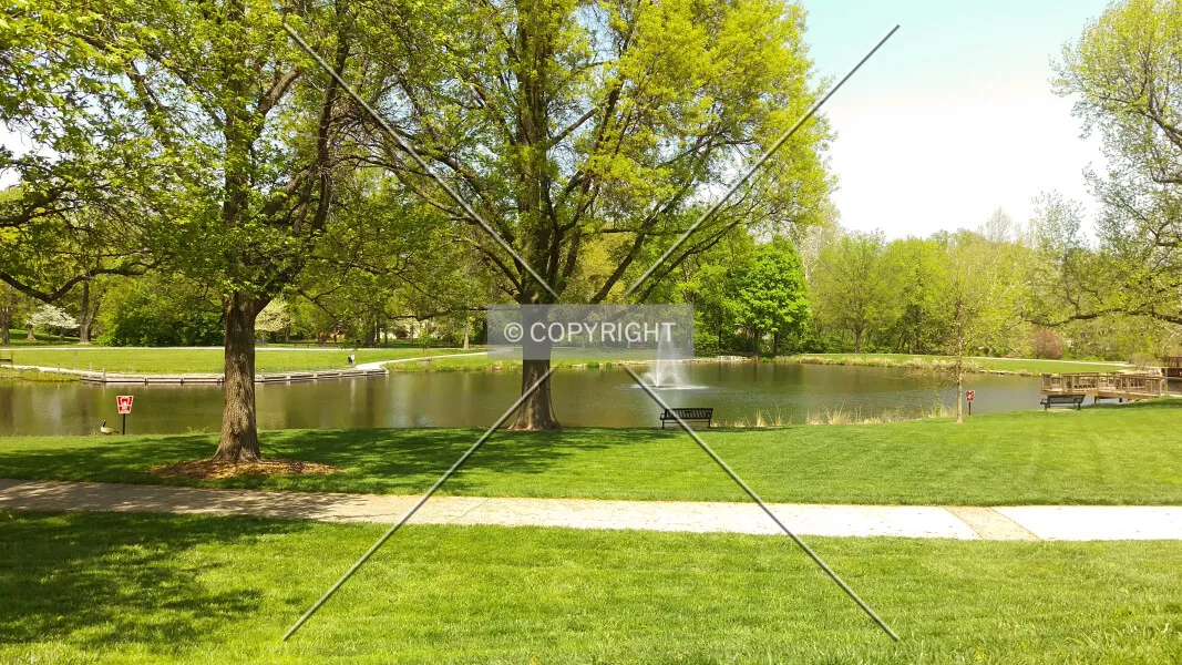 Photo 362-976-641