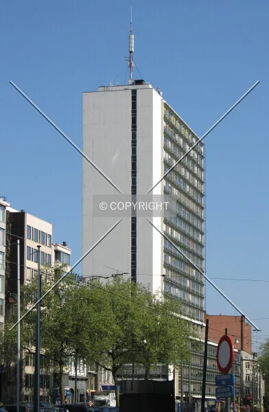 Photo 363-015-446