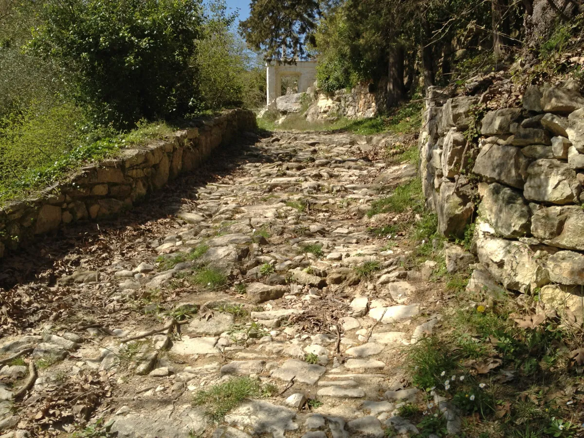Photo 363-130-062