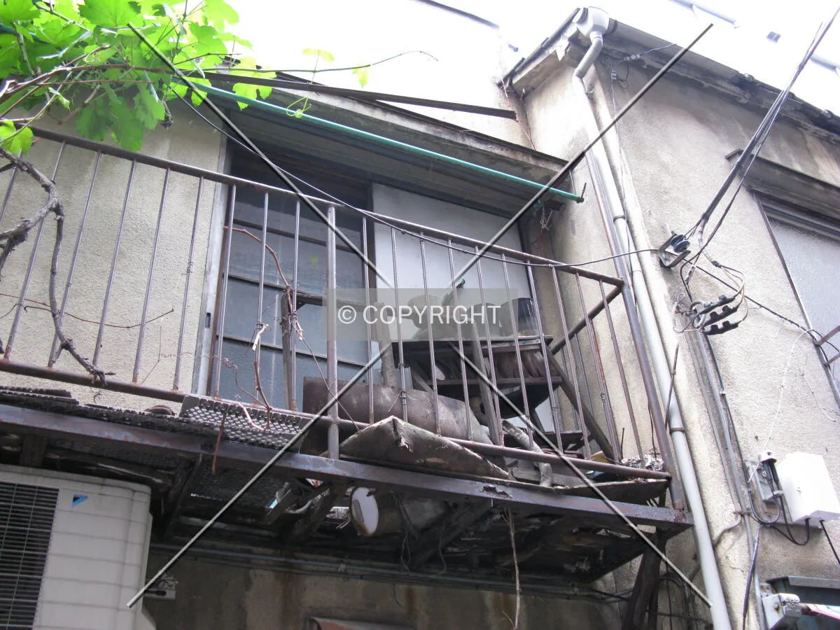 Photo 363-213-710