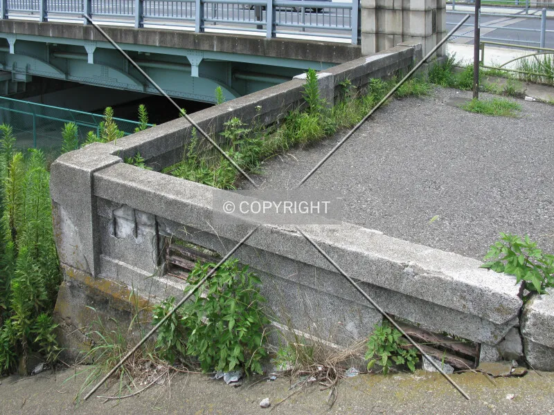 Photo 363-223-414