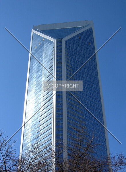 Photo 363-765-442
