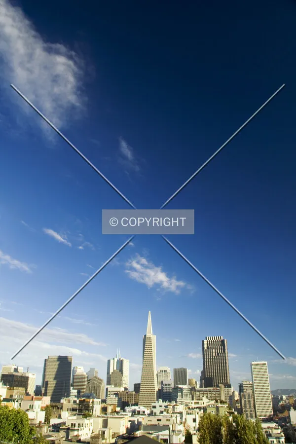 The skyline from Telegraph Hill