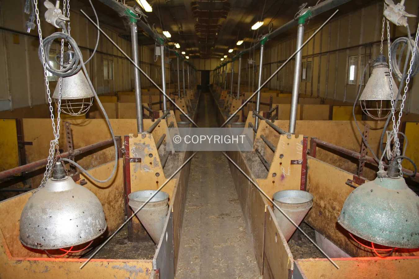 A stable used to feed small pigs