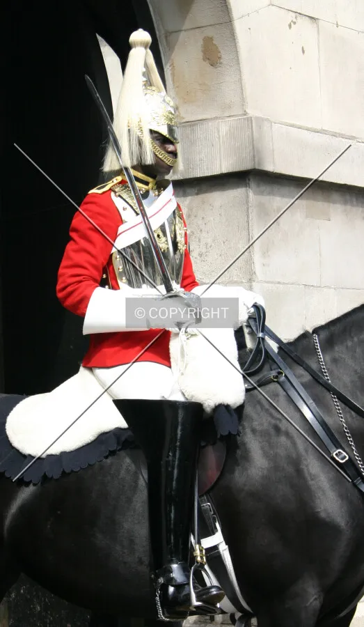 Keeping watch at Horseguards