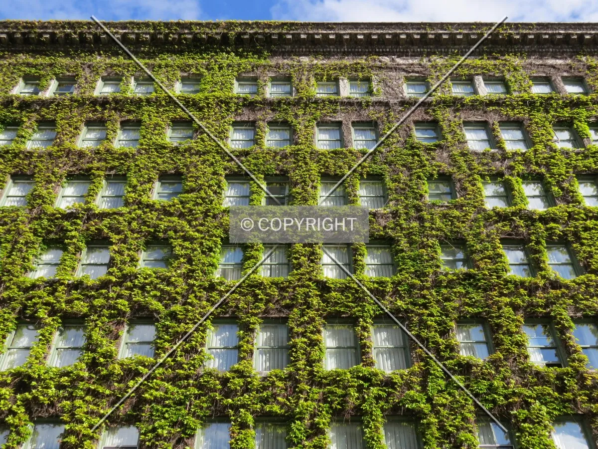 Looking up from Gilford Street