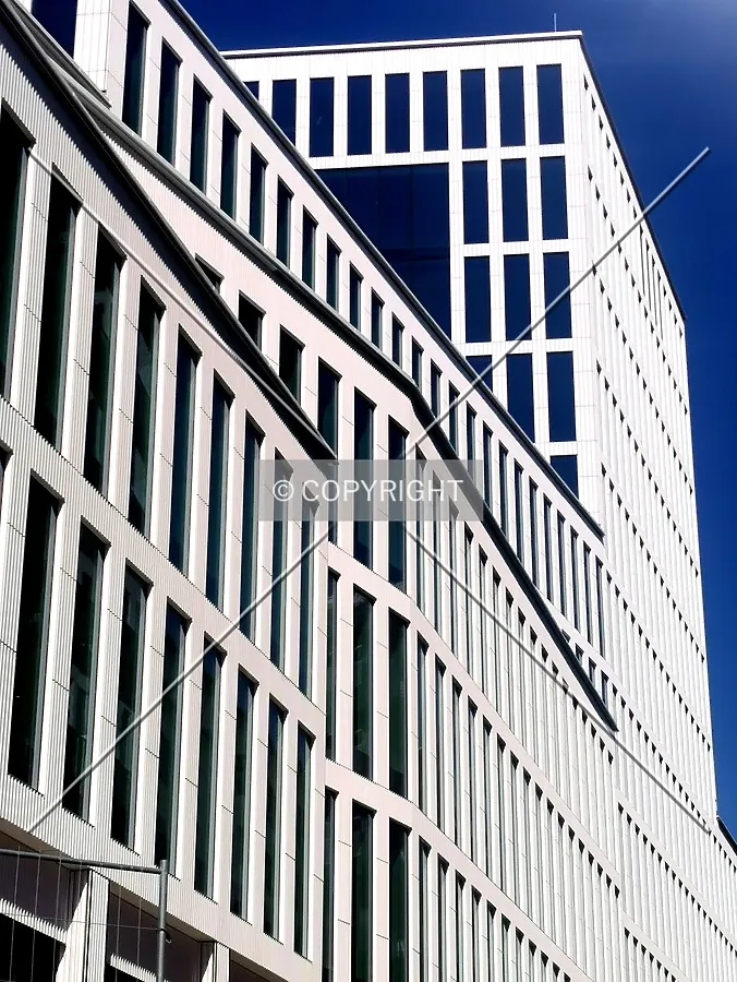 Photo 365-160-702