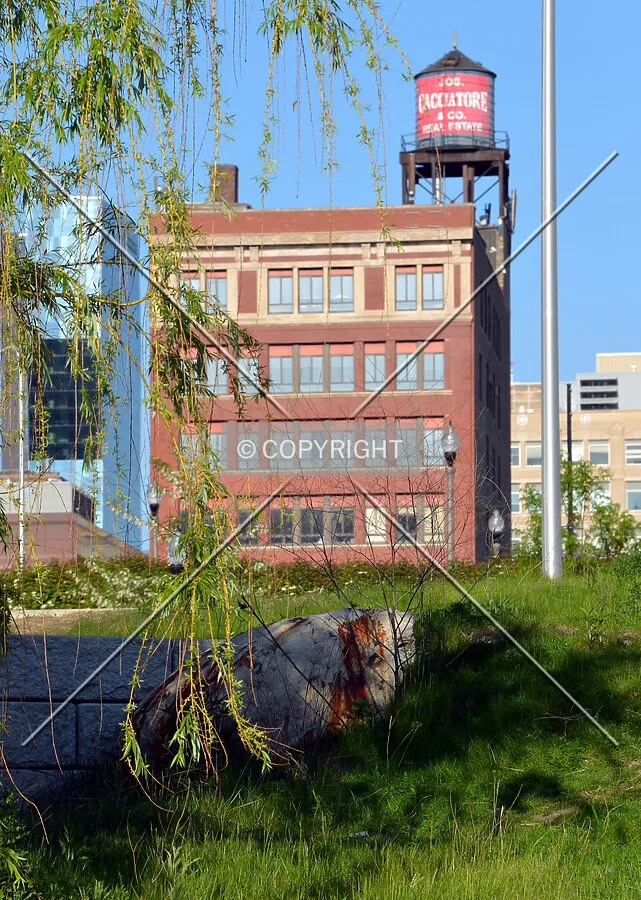 View from the southwest