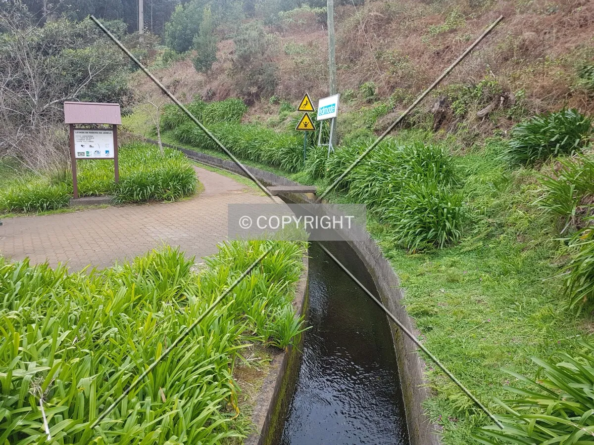 Levada da Ribeira da Janela