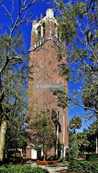 Photo 366-104-509