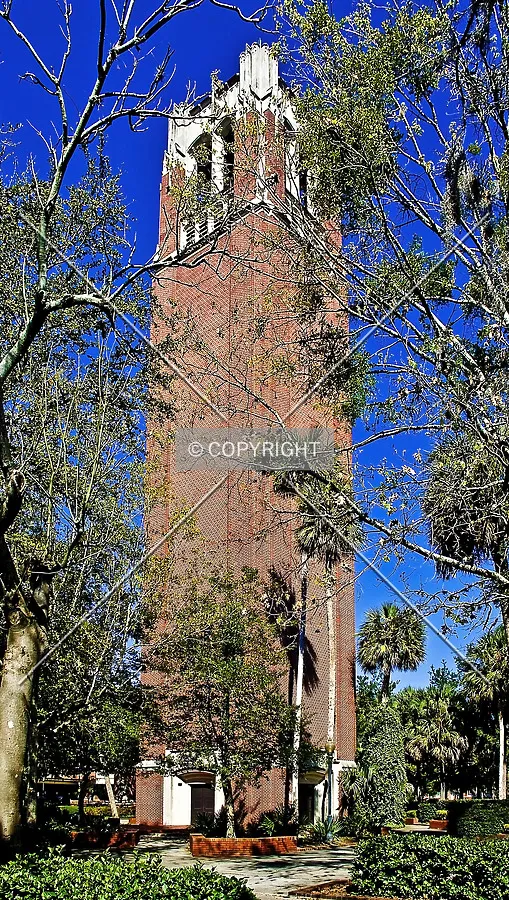 Century Tower, University of Florida, Gainesville, Florida, U.S.A.