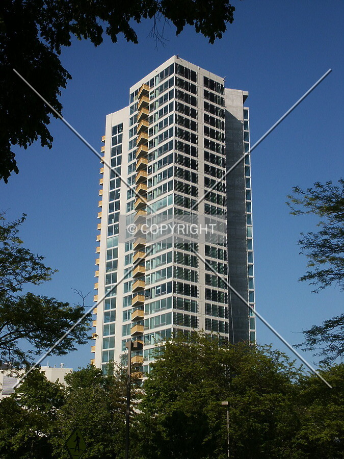 View from the west