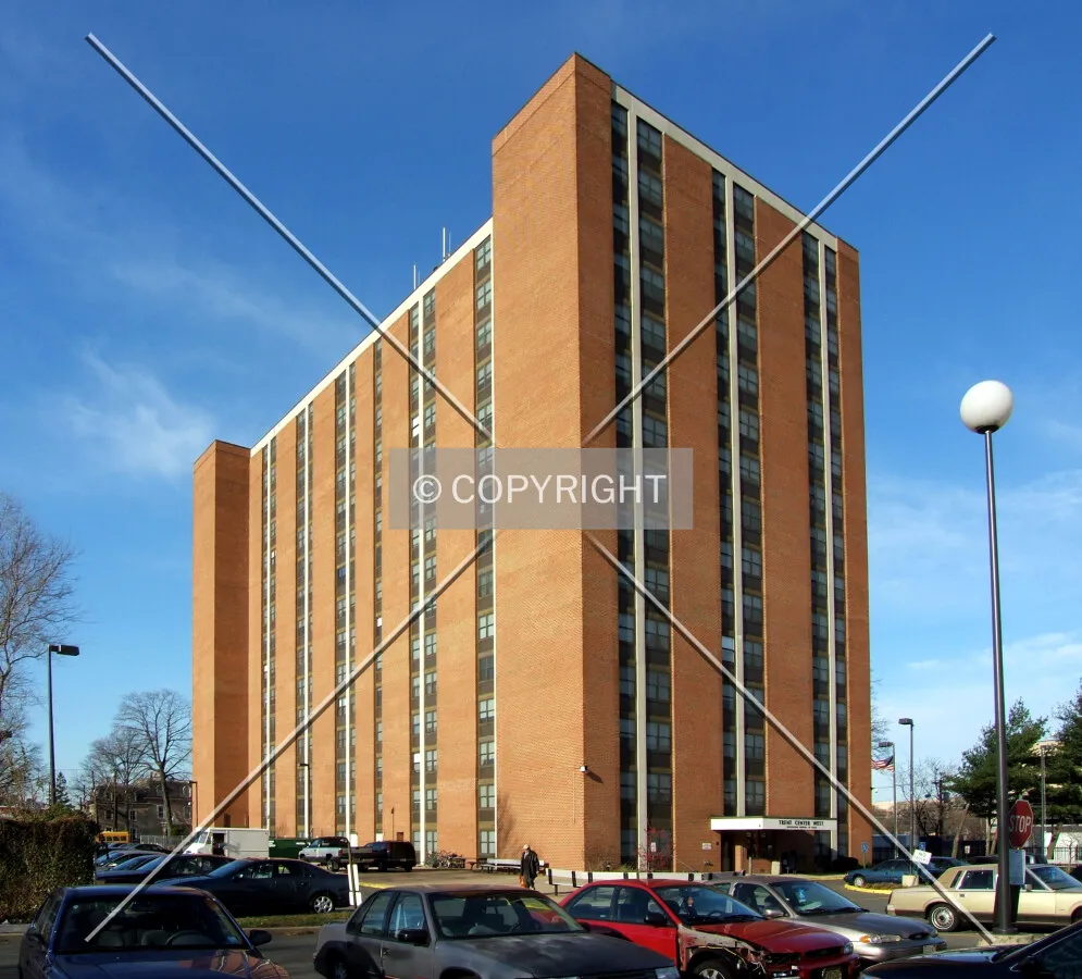 View from the southeast