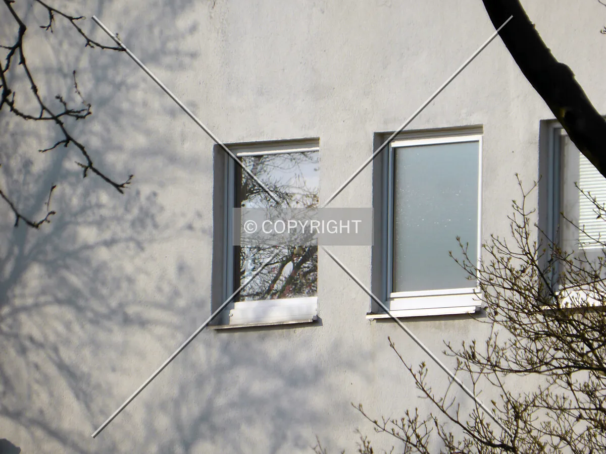 Photo 367-677-454