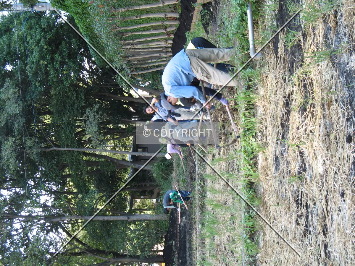 Photo 367-851-079