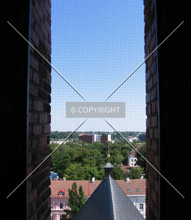 View from the tower