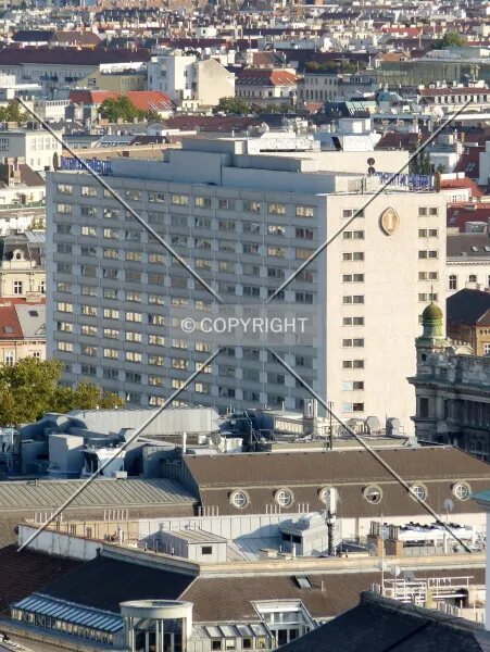 Photo 368-764-332