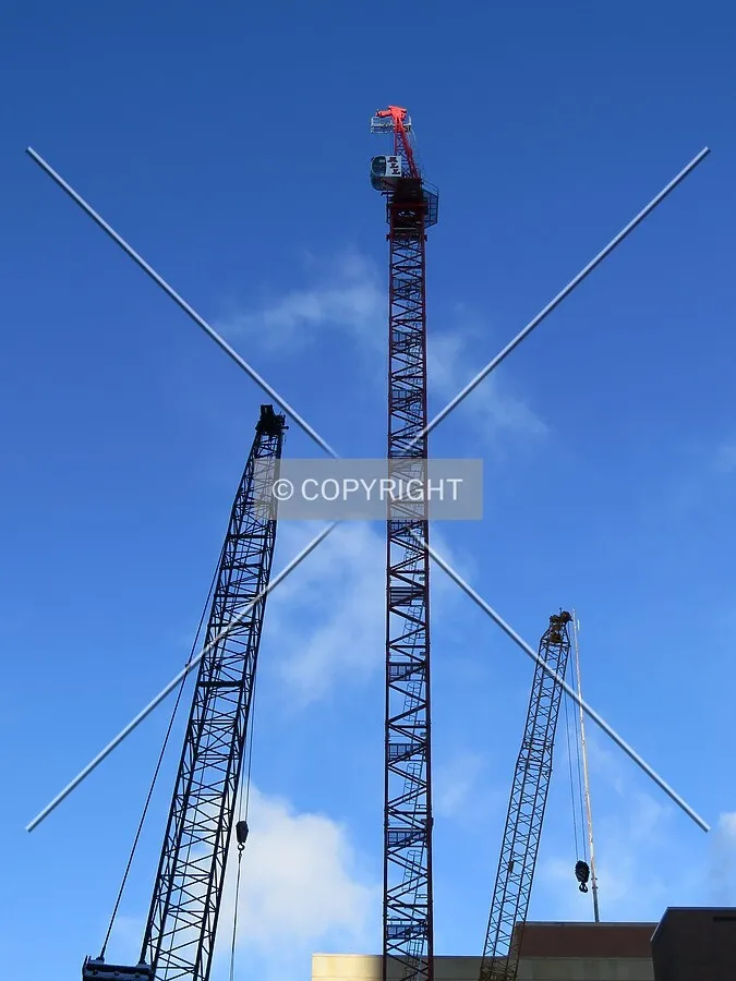 Up to the tops of cranes