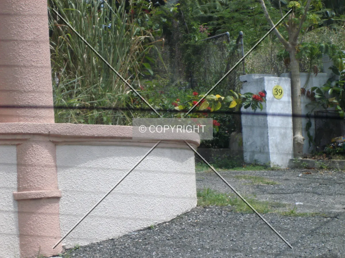 Photo 369-024-690