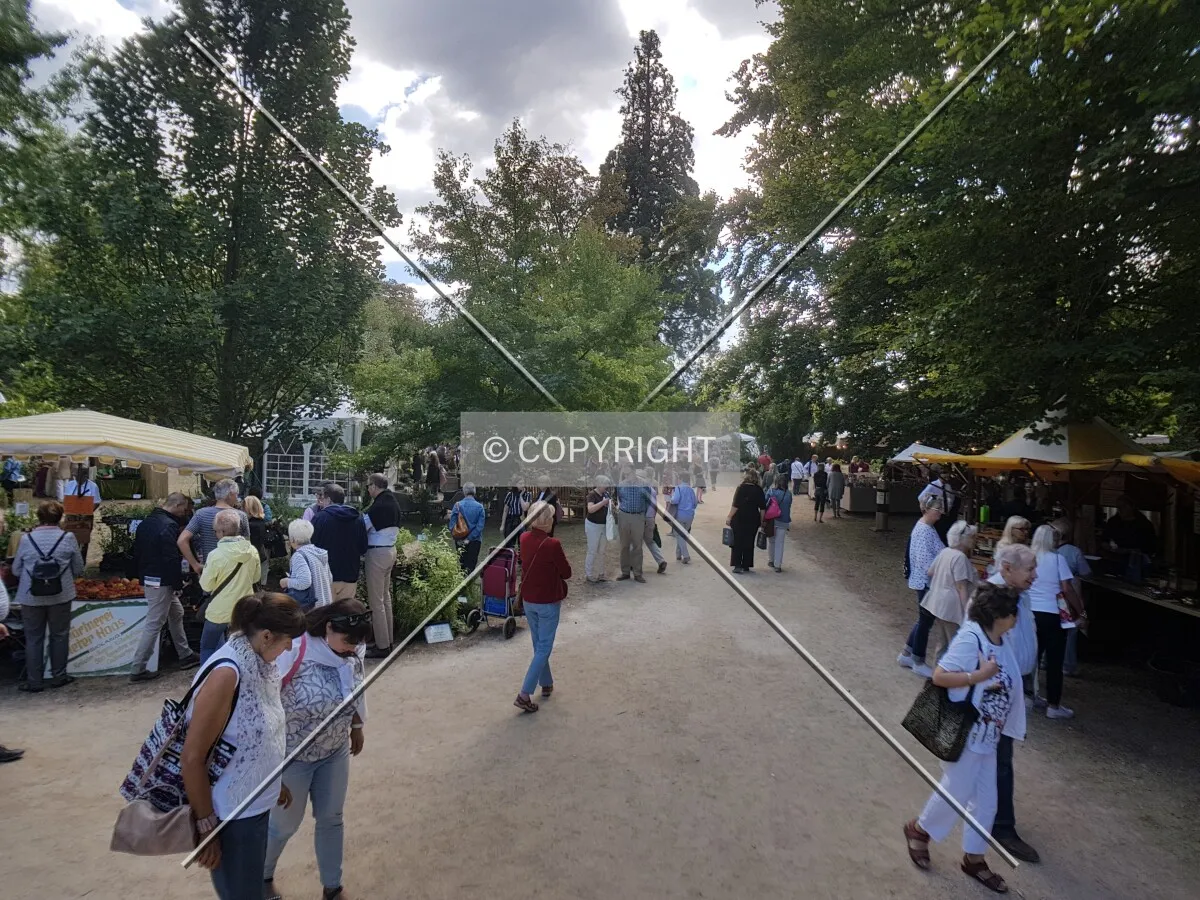 Schloß Wolfsgarten in 2018