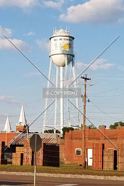 Photo 369-628-089