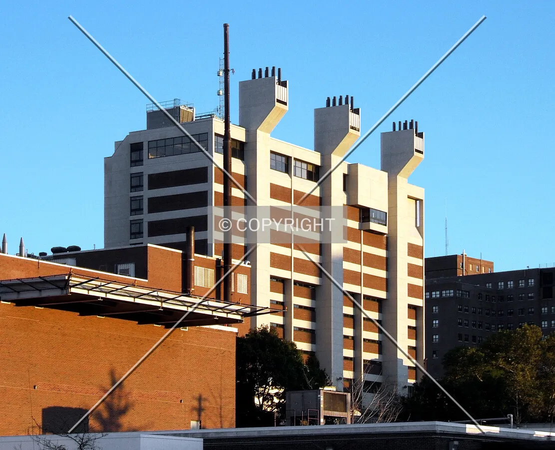 View from the northwest
