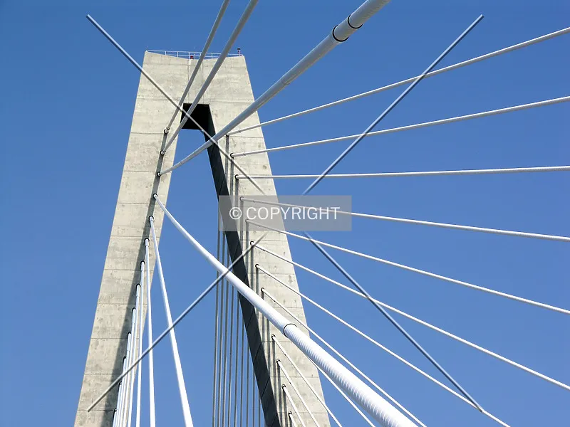 Photo 369-795-181
