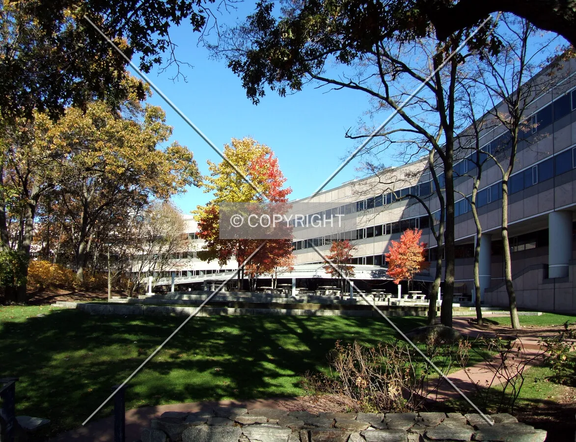 View from the southeast