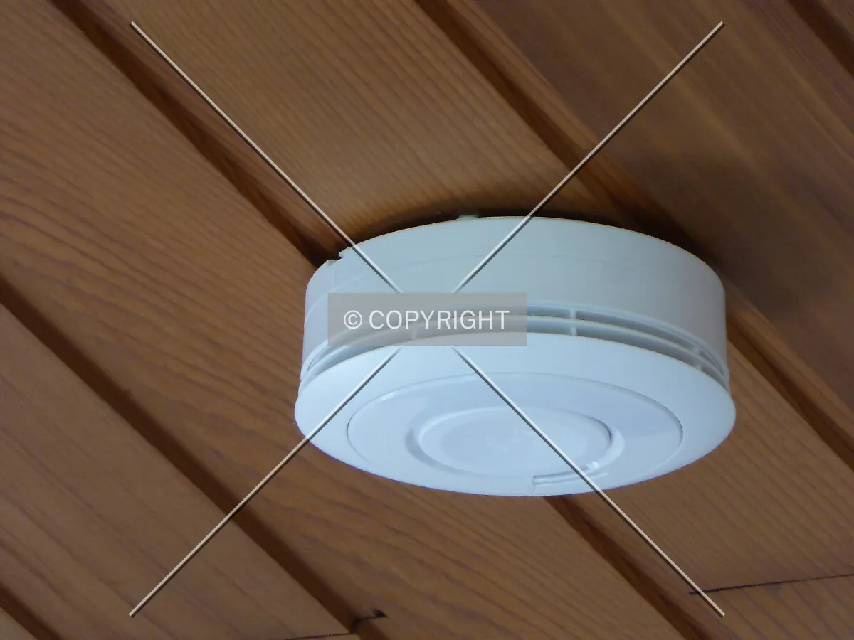 Smoke detector equipped with batteries; mounted at a wooden ceiling; mandatory in many houses throughout Europe