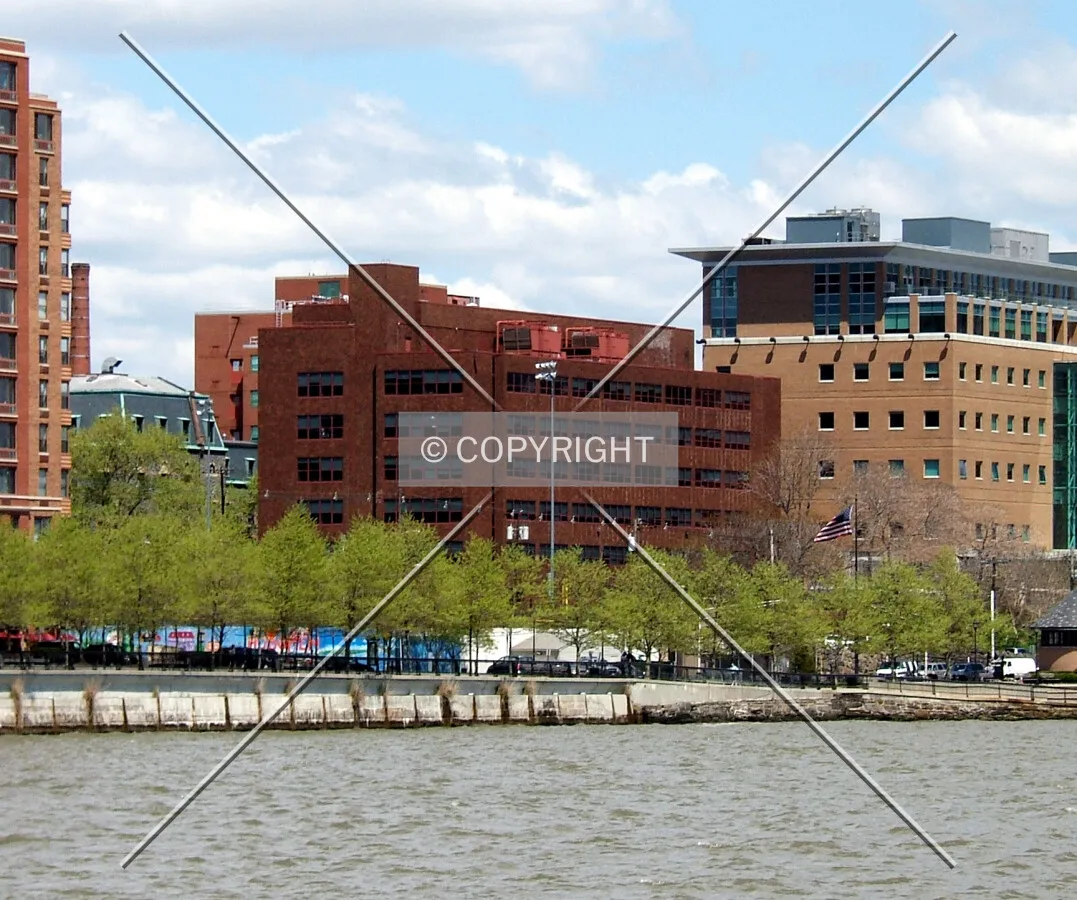 View from the southeast