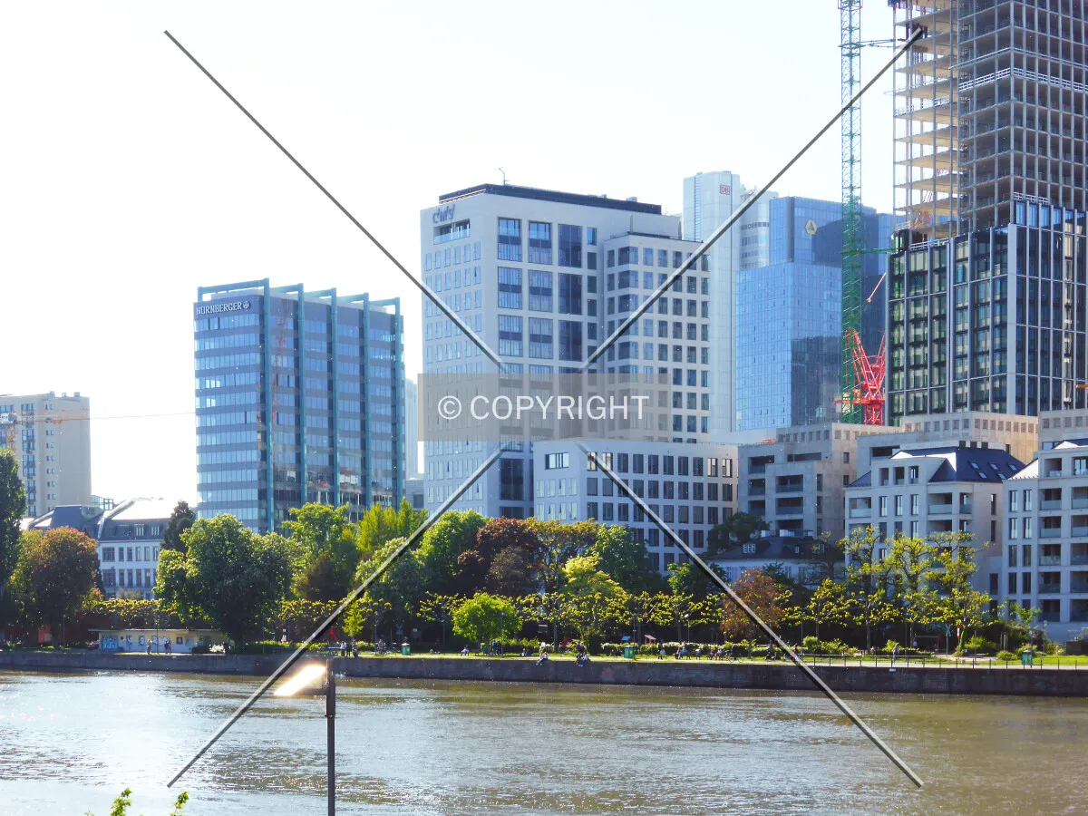 Photo 372-393-958