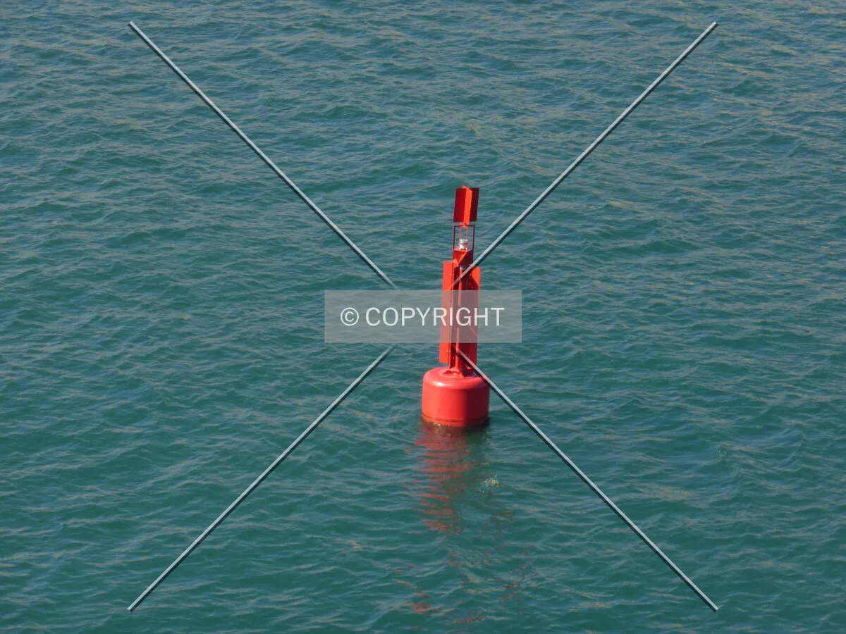Photo 372-497-483