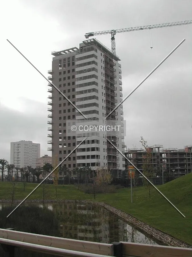 From the nearby park