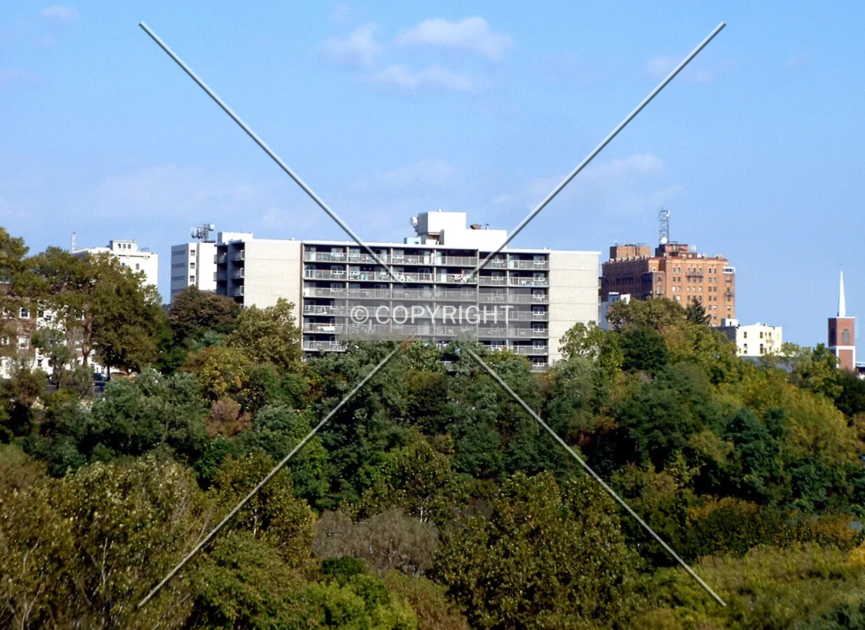 View from the south