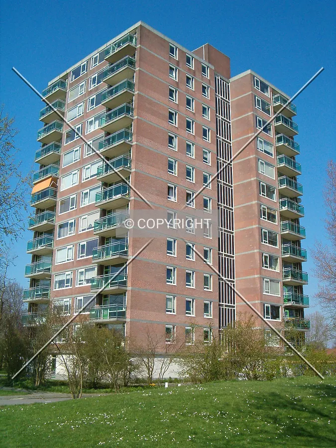 View from Frambozenlaan