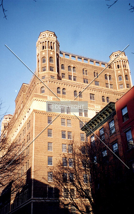 View from south along Willow Street