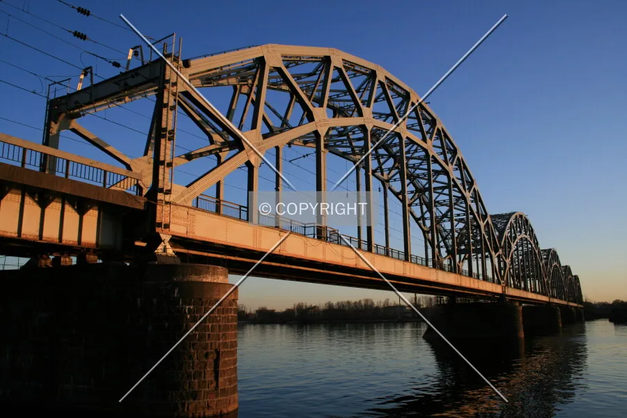 Photo 374-884-939