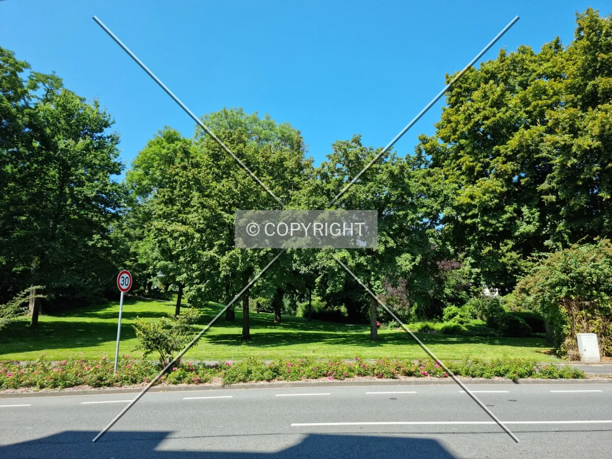 Photo 037-515-684
