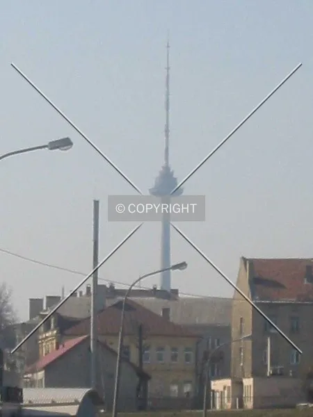 Photo 375-921-831