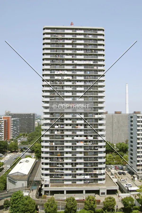 View from the south