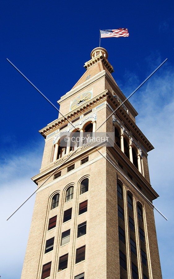 View from the south