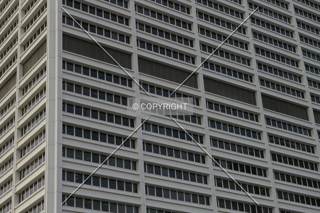 Photo 378-319-621