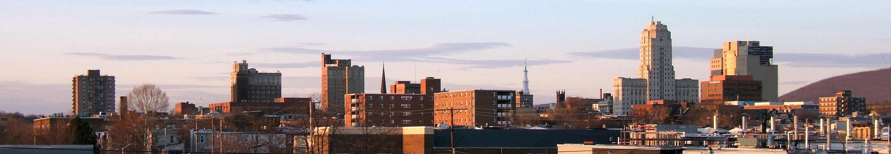 Panorama of Reading