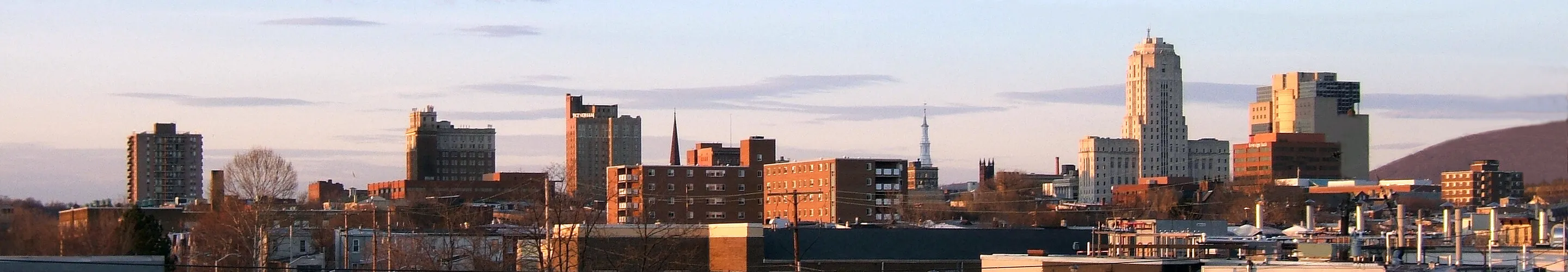 Panorama of Reading