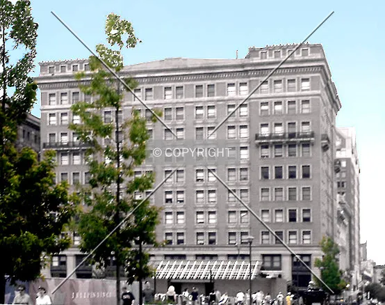 View from the west along Chestnut Street