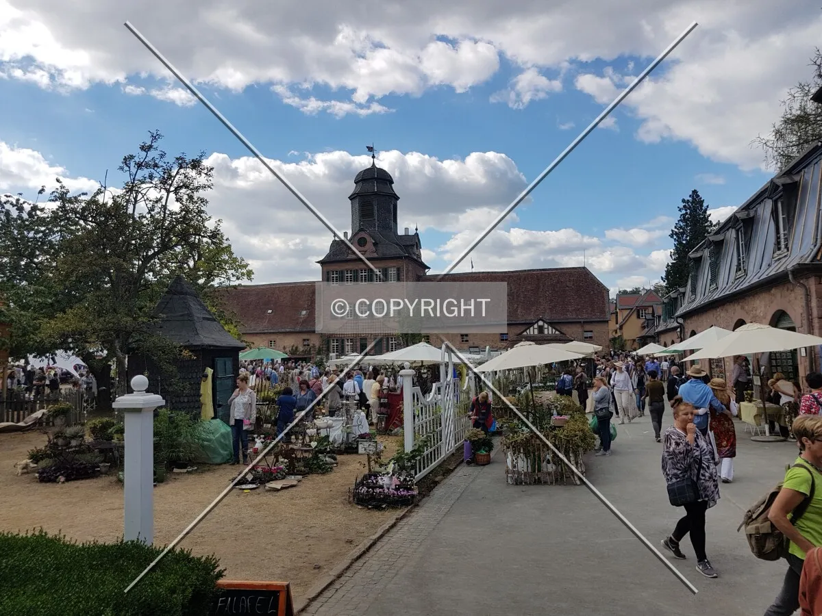 Schloß Wolfsgarten in 2018