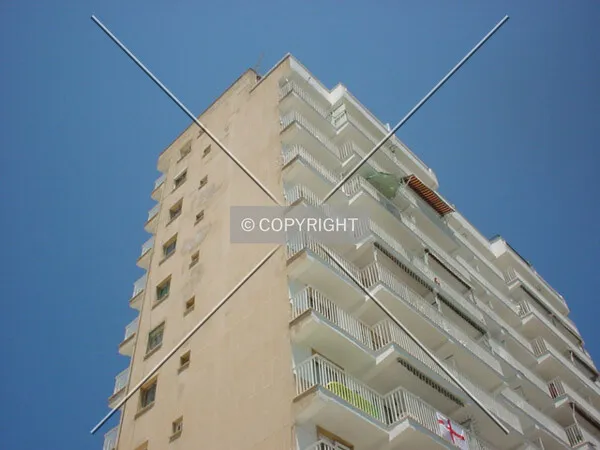 Photo 037-895-007