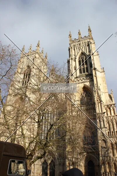 Photo 379-232-473